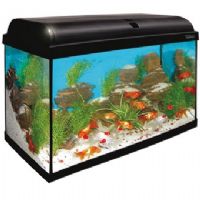 KIT ACUARIO 80 LITROS 60X35X44