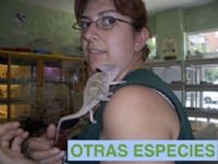 ESPECIES DE REPTILES