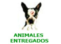 Animales Entregados